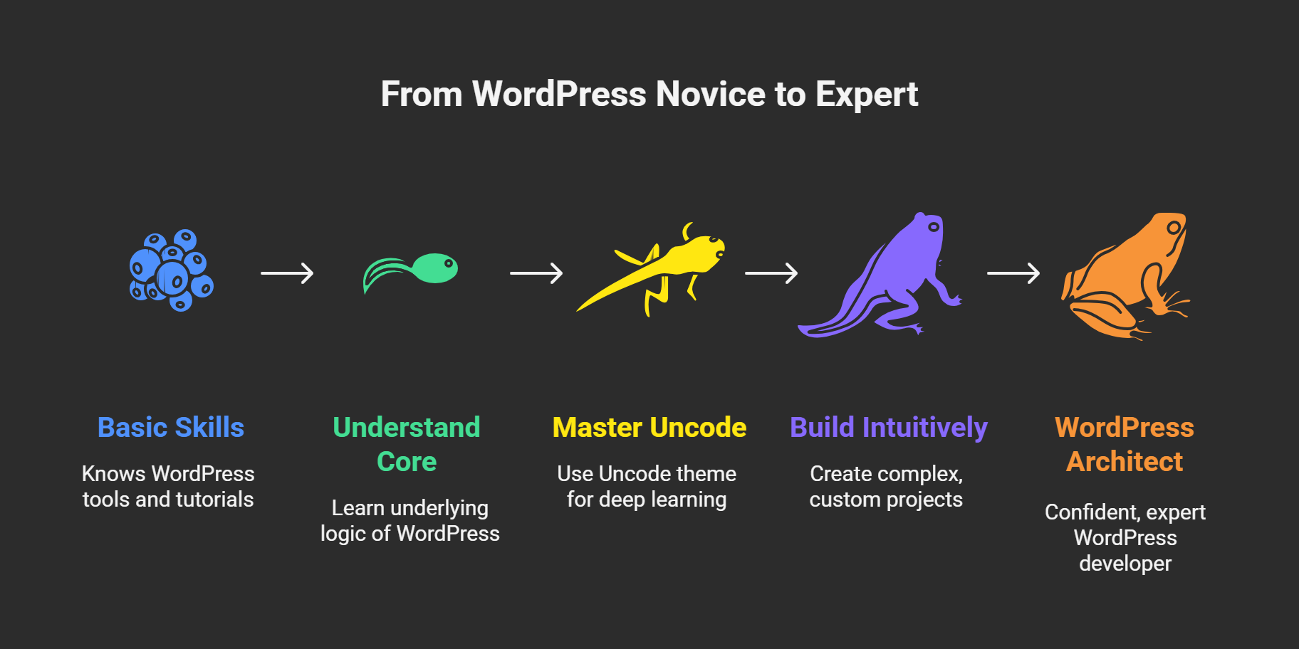 Introduction to Your Missing WordPress Guide